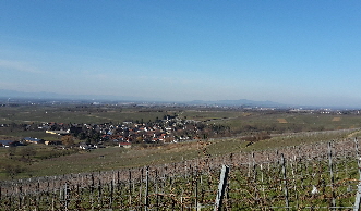 Markgrflerland im Frhjahr