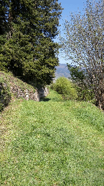 Steinmauer im Eggenertal