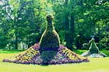 Kurpark-Pfau