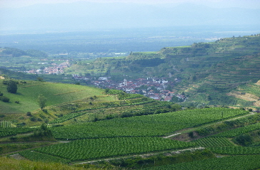 Ausblick im Kaiserstuhl