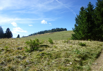 Schwarzwald